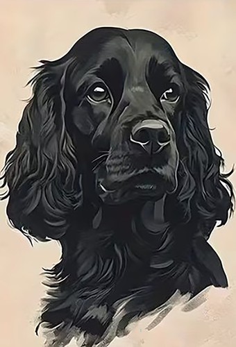 Cocker spaniel dog - cocker,