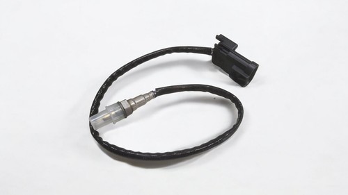 Sonda lambda adatto per - sonda,