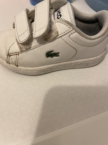 Scarpe bimbo lacoste originali - scarpe,