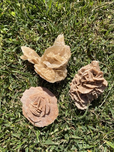 Set rose del deserto naturali