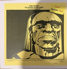 PINK FLOYD THE PASSING OF