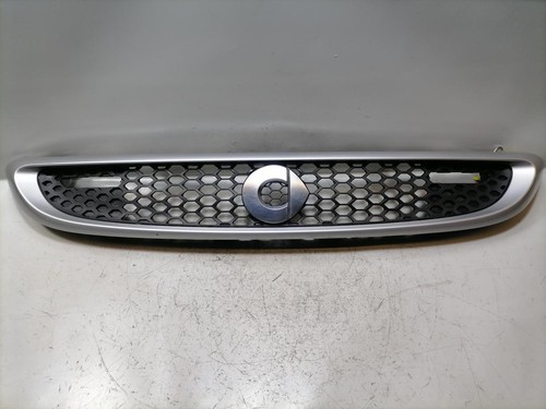 Griglia radiatore originale