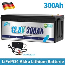Batteria litio 12V 300Ah