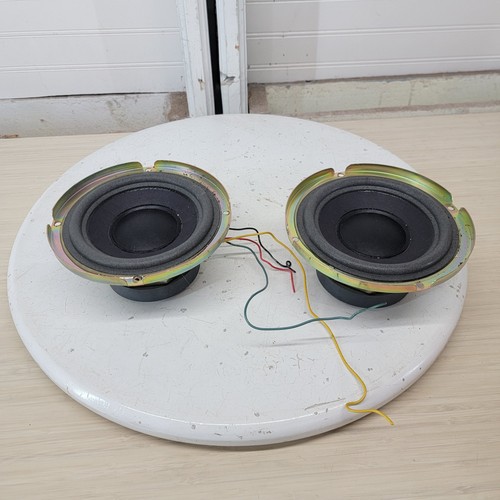 Coppia driver altoparlanti