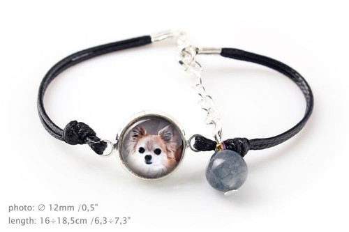 Chihuahua pelo lungo bracciale - pelo,