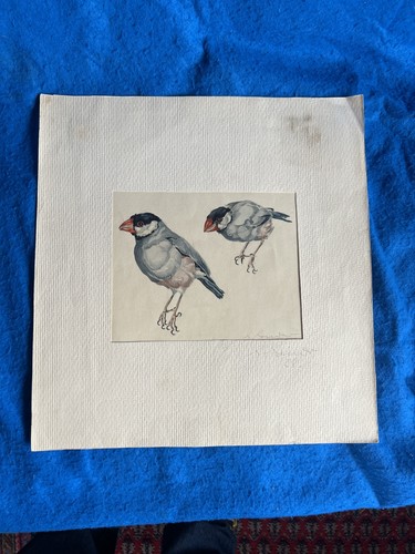 Quadro antico disegno