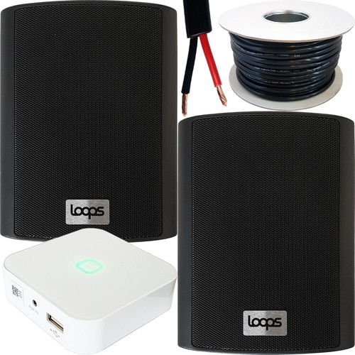 Mini amplificatore stereo wifi
