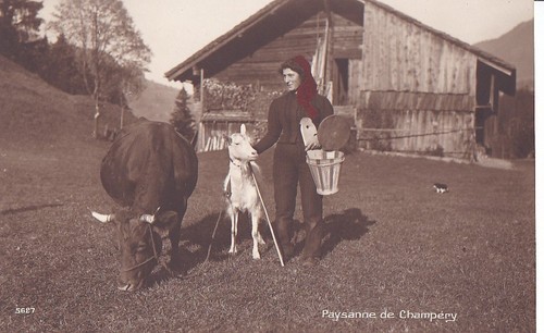 Unposted vintage postcard - unposted,