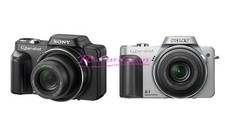 Sony Cyber-shot DSC-H10 8.1MP 10x Optical Zoom Digital Camera - 100% Working