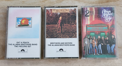 The allman brothers band - allman,