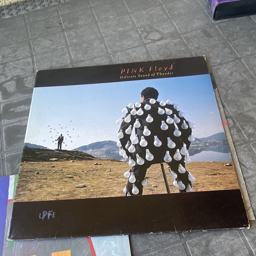 Pink floyd delicate - pink, sound