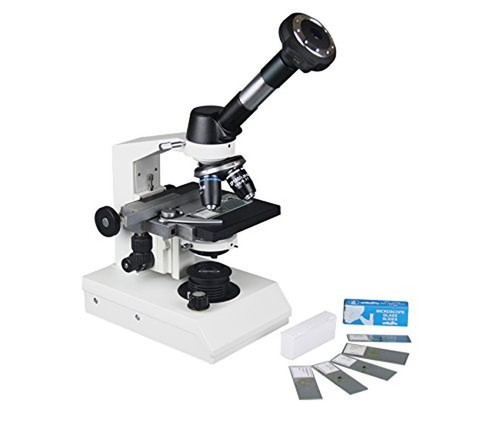 Radical 2000x microscopio - radical,
