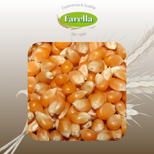 Mais Intero Uso Zootecnico 25kg Mangime Semplice per avicoli, bovini, ovini