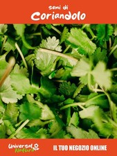 250 Semi di CORIANDOLO –