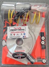 VARIATORE MALOSSI WOTTAN MOTOR