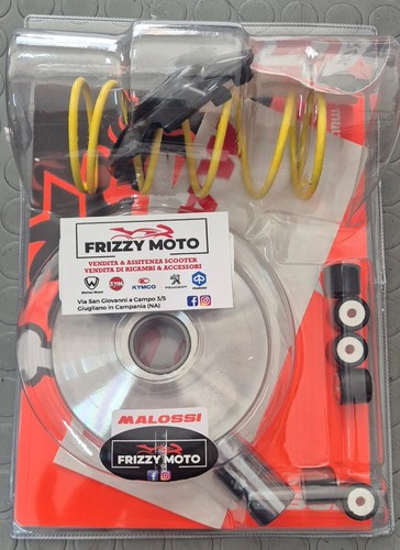 Variatore malossi wottan motor - malossi,