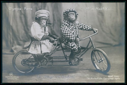 Circo cabaret olimpia parigi - cabaret,