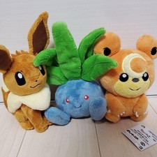 Pokemon Teneri Sentimenti