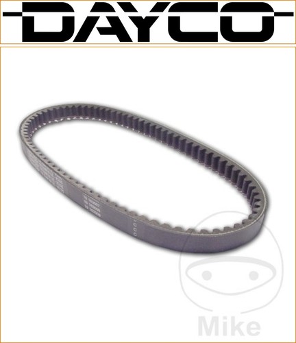 Cinghia trasmissione dayco - trasmissione,
