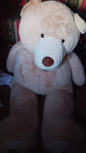 Orso peluche gigante - peluche,