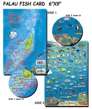 Mappe Franko - ID pesce Palau