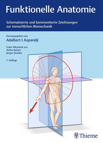 Funktionelle anatomie - funktionelle,