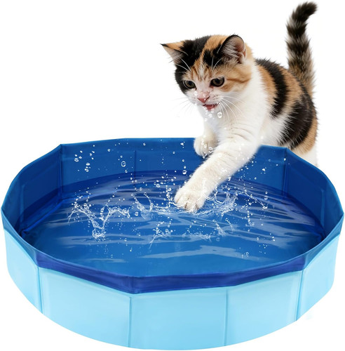 Piscina gatti piccolo - piscina, 50×10
