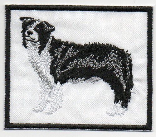 Patch ricamo toppa - ricamo,