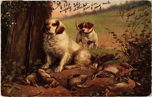 Cpa hunting hounds - -,