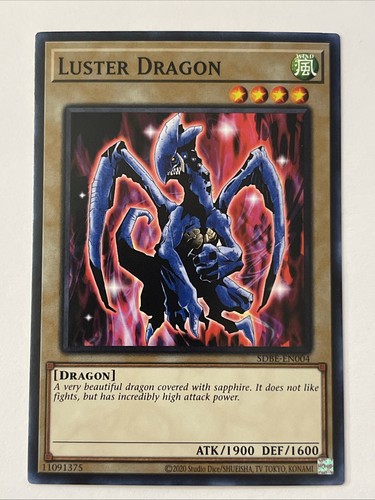 Saga del drago bianco occhi - saga,