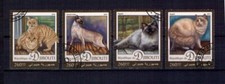 A179 DJIBUTI ANIMALI DOMESTICI GATTI