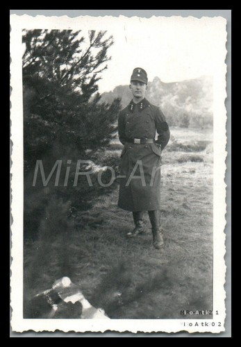 Foto ww2 scuola - foto,,