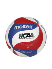 Pallavolo Da Competizione