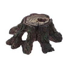  Legni Acquario Accessori