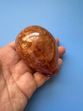 80 mm | Cypraea Mappa | F+++