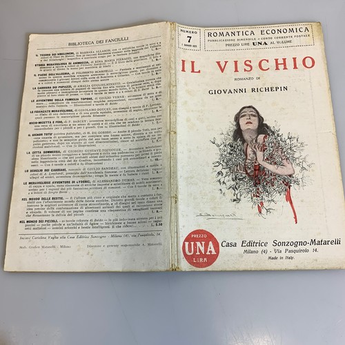 Romantica economica romanzo - romantica,
