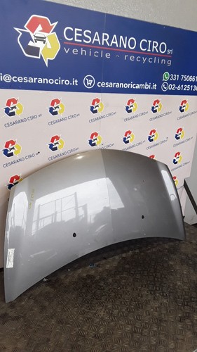 Cofano ant acciaio - cofano,