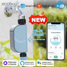 Irrigazione WiFi Alexa Google