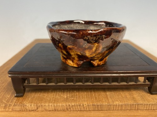 Vaso per bonsai shohin - vaso,