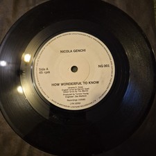 Nicola Genchi - How Wonderful