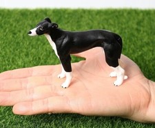 Whippet Cane Animale