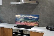 Parete posteriore cucina Tulup
