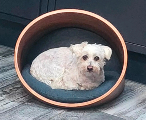 Cuccia legno per animali - in,