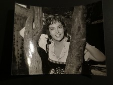 PANE AMORE E FANTASIA  FOTO 18X24 ORIGINALE G.B. POLETTO GINA LOLLOBRIGIDA