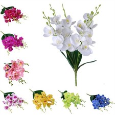 Bouquet Orchidea Farfalla