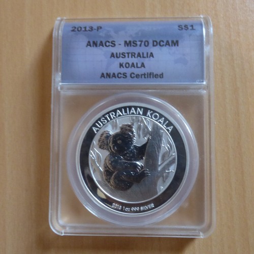 Australia koala 2013 anacs - australia,