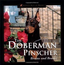 The Doberman Pinscher: Brains