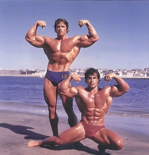 Arnold schwarzenegger franco - arnold, schwarzenegger,