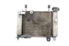 Radiatore raffreddamento Honda