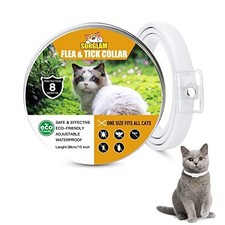 Collare Antipulci e Zecche per